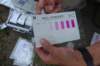 dsc05900_small.jpg