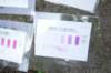 dsc05906_small.jpg