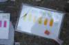 dsc05908_small.jpg