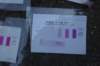 dsc05909_small.jpg
