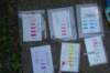 dsc05910_small.jpg
