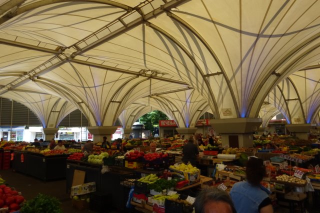 dsc05934.jpg