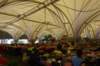 dsc05934_small.jpg