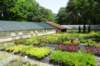 dsc06051_small.jpg