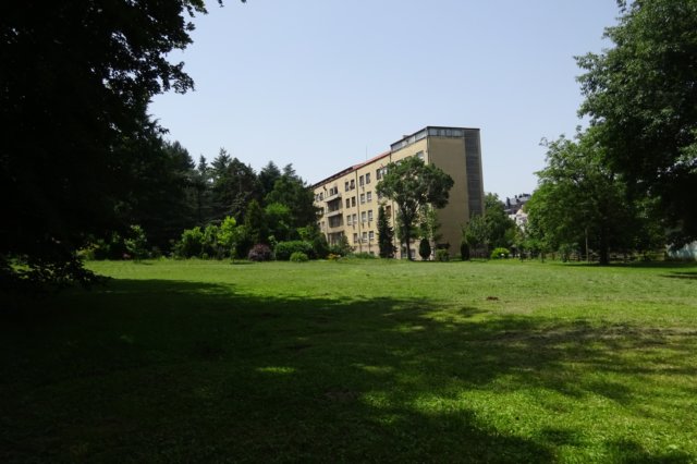 dsc06052.jpg