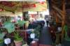 dsc05951_small.jpg