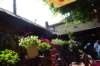 dsc05955_small.jpg