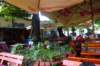 dsc05957_small.jpg