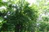 dsc05971_small.jpg