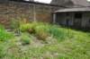 dsc05974_small.jpg