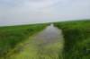 dsc05982_small.jpg