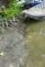 dsc05992_small.jpg