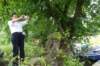 dsc05993_small.jpg