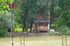 dsc05994_small.jpg