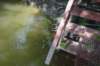 dsc05995_small.jpg