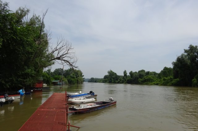 dsc05999.jpg