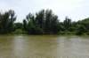 dsc06003_small.jpg