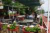 dsc06009_small.jpg