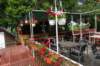 dsc06010_small.jpg