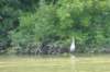 dsc06011_small.jpg