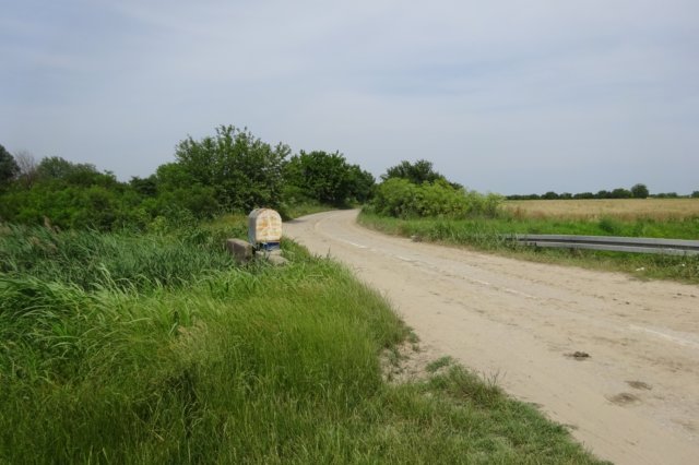 dsc06014.jpg
