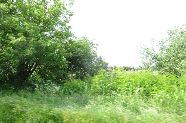 dsc06019.jpg